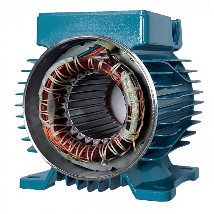 WZ 250 stojan silnika pompy Omnigena